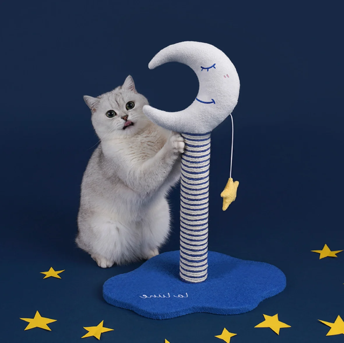 

New Cat Scratcher Cardboard Oval Corrugated Scratch Pad Cat Scratching Lounge Bed Durable Recycle Board Cat Scratcher Bowl