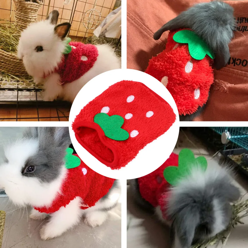 

Fashion Guinea Clothes Warm Bunny Vest Hoodie Funny Small Pet Costume
