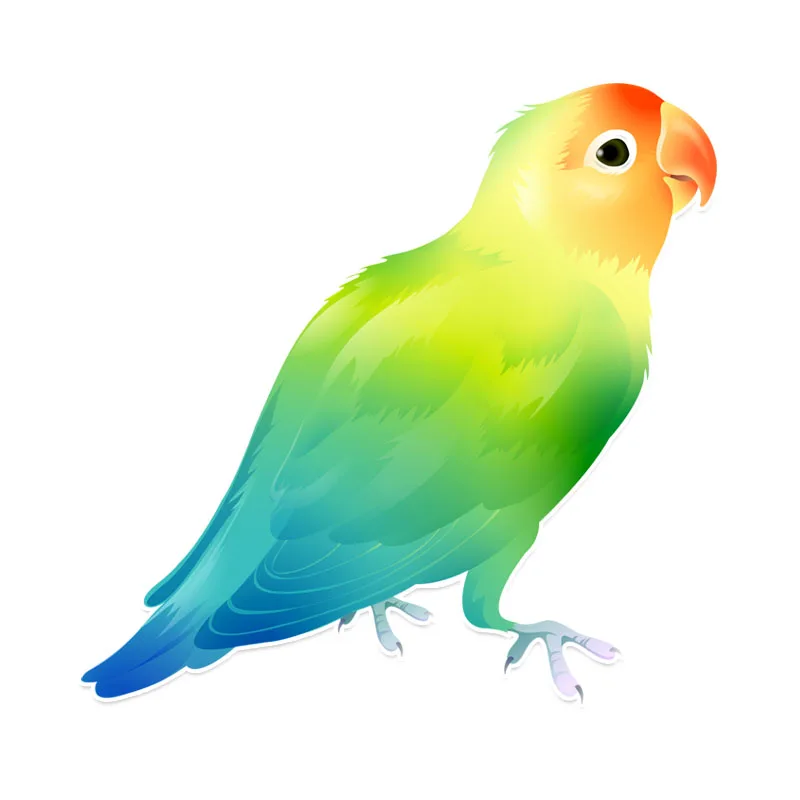 

12cmx12cm Beautiful parrot Car-Sticker Automobiles Motorcycles Window Bumper Laptop Vinyl Decal PVC Decorative Goods