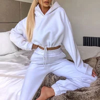 hoodie two piece set women 2021 autumn winter fashion pants long sleeve hooded hoodie short sports casual suit female clothing