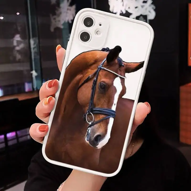 

Frederik Great beauty horse art Phone Cases matte transparent For iphone 7 8 11 12 plus mini x xs xr pro max cover