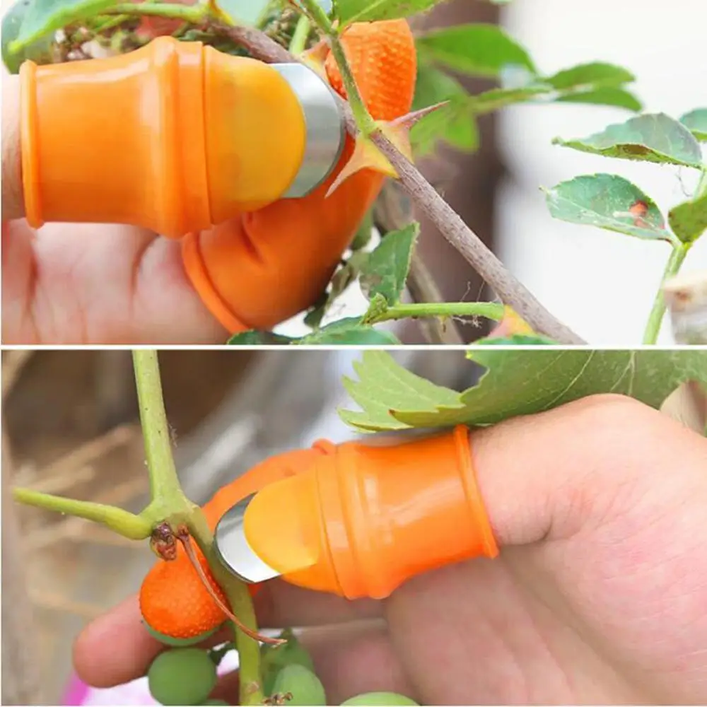 

Silicone Thumb Cutter Set Labor-saving Harvesting Plant Picking Tool Vegetable And Fruit Garden Stainless Steel Picking Tools