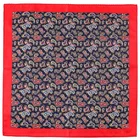 Носовой платок мужской в горошек, 32x32 см