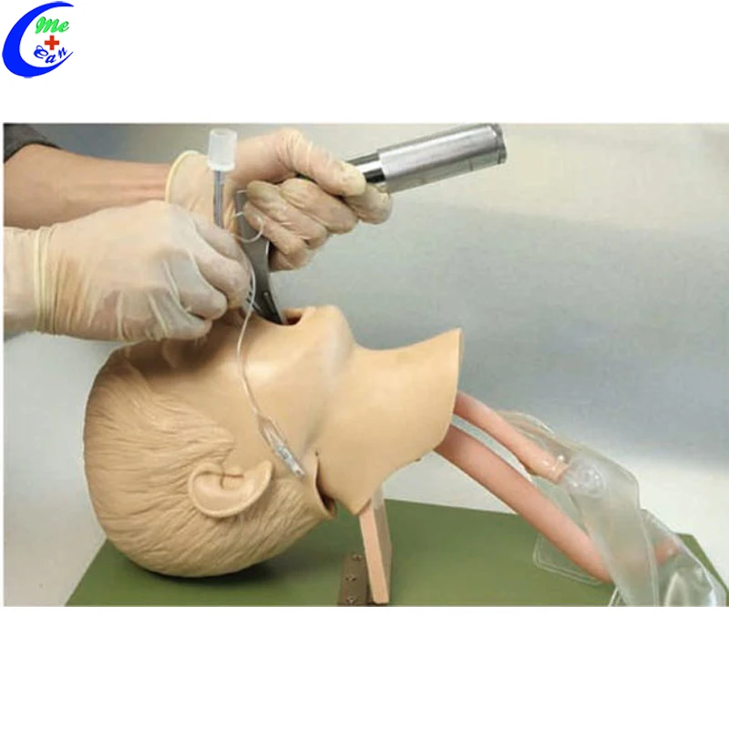 

Tracheal Intubation Manikin Model