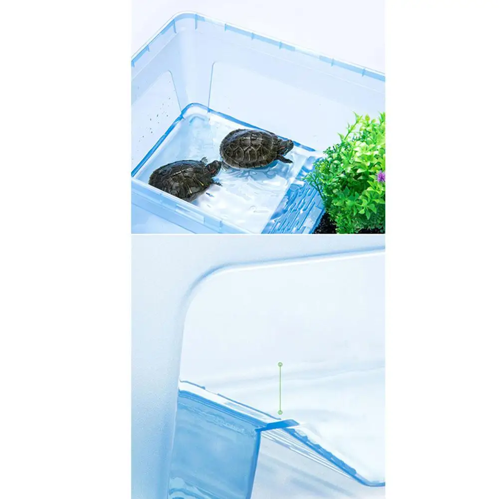 Пластиковая черепаха миска для кормления малышей Террапин еды со съемной баской