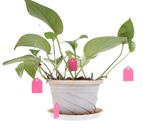 50 шт Высокое качество пластиковые растения бирки питомник сад кольцевая