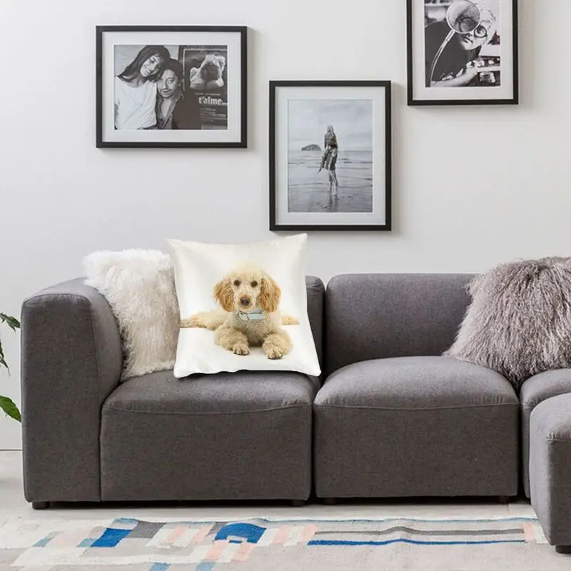 

Poodle Dog Pillowcover Home Decor Animal Pattern Cushions Throw Pillow for Car Double-sided Printing