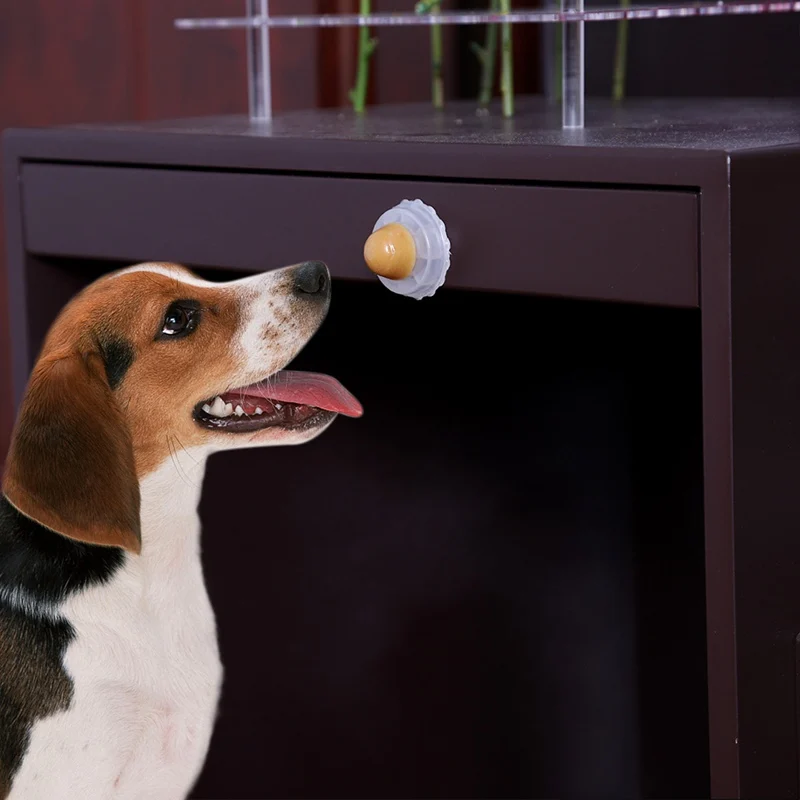 Собака сахар мяч кошка закуски леденцы лижущий твердый питательный