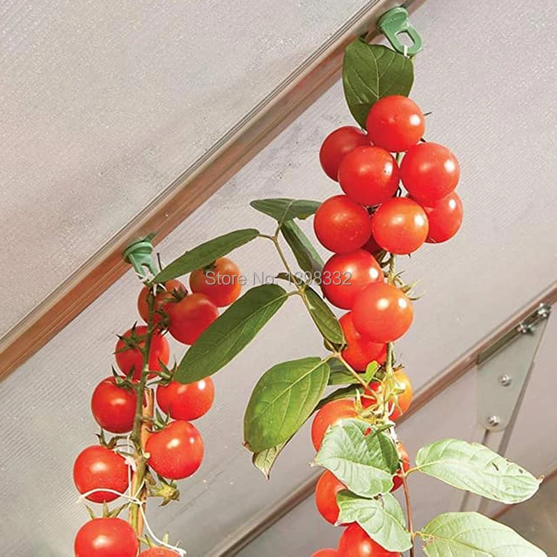 12 шт./компл. пластиковая вешалка для теплиц подвесные крючки вешалки растений