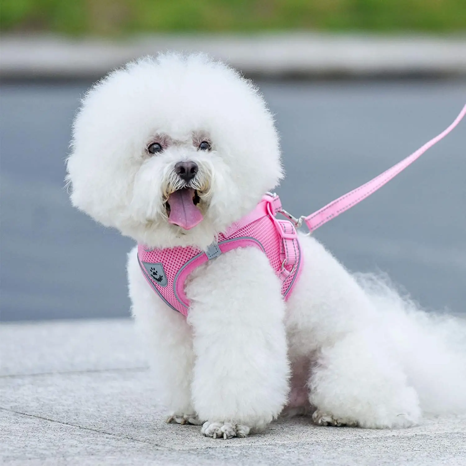 Воздухопроницаемая сетчатая шлейка для маленьких собак и щенков|Ошейники