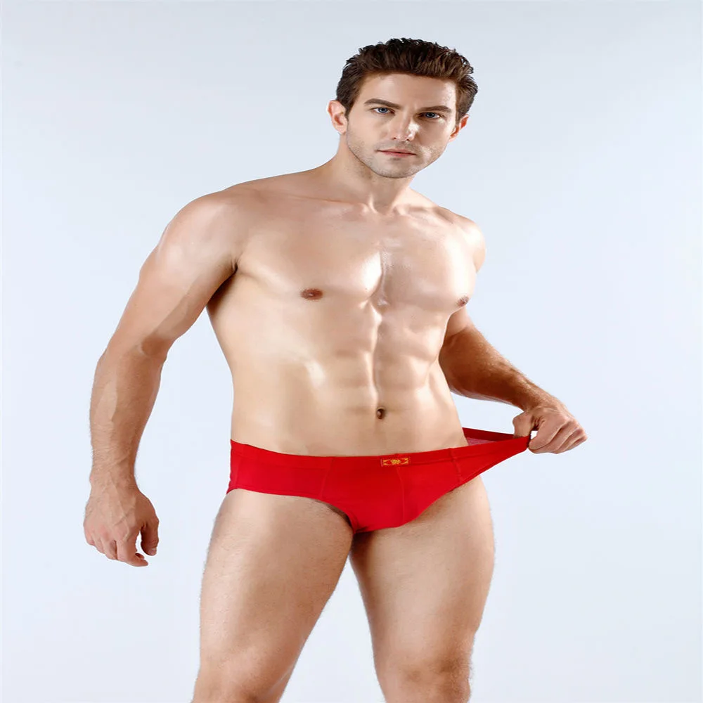 5PCS Briefs Mens Underpants  Male Cotton  Sexy Men Underwear Men Panties Specially Male Underwear Male Pouch Solid color