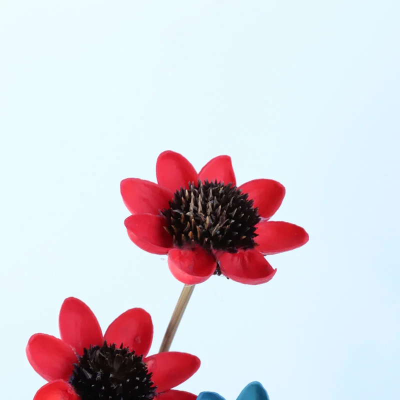 A ++ лучшие сушеные счастливые цветы 3 шт улыбающиеся милые Вечные Природные