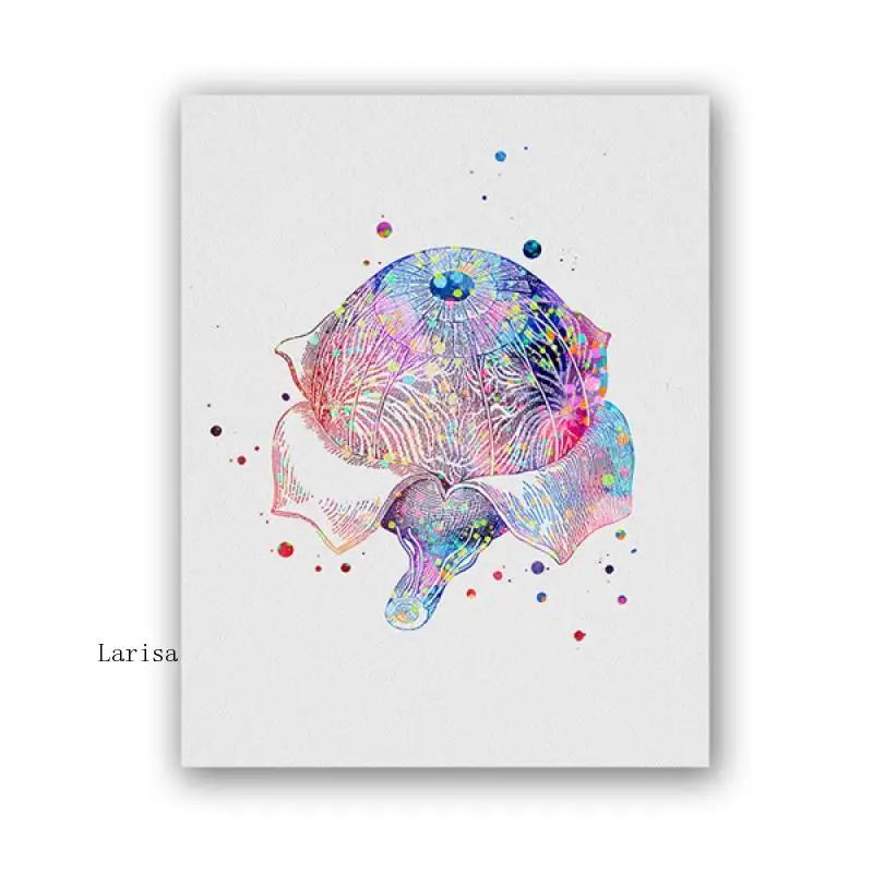 

Eye Anatomy Medical Posters Optometrist Gift Ophthalmology Medicine Wall Art Canvas Painting Pictures Clinic Doctor Office Decor