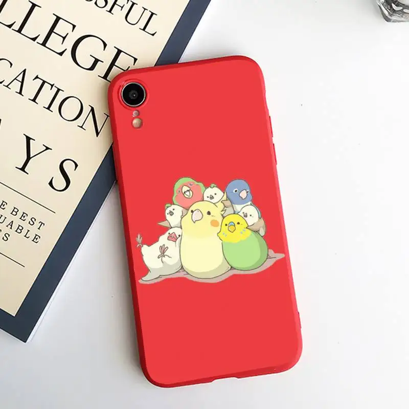 

Cute parrot pet animal BIRDSTORY Phone Case Candy Color for iPhone 6 7 8 11 12 s mini pro X XS XR MAX Plus