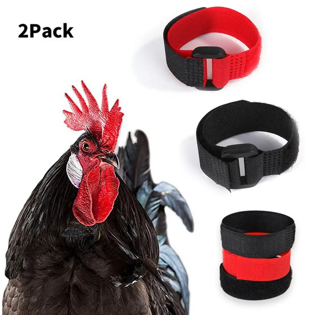 

2pcs No Crow Collar for Roosters No Crowing Belt Neckband Poultry Supplies