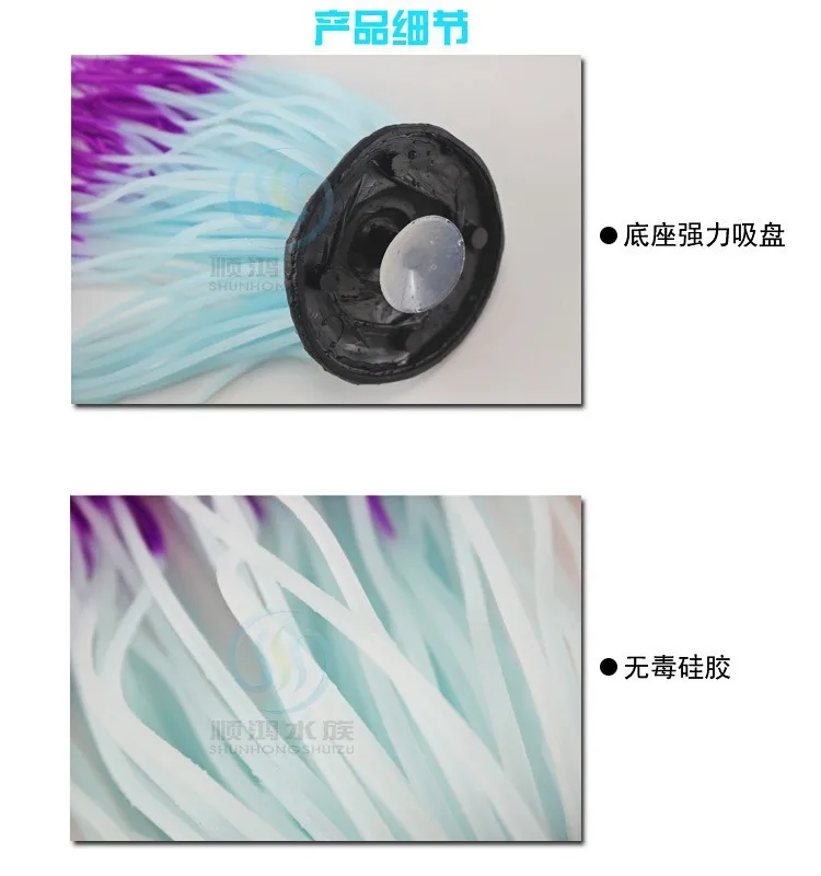 

Sea anemone aquarium with luminous effect aquarium setting coral marine jellyfish pseudosea urchin