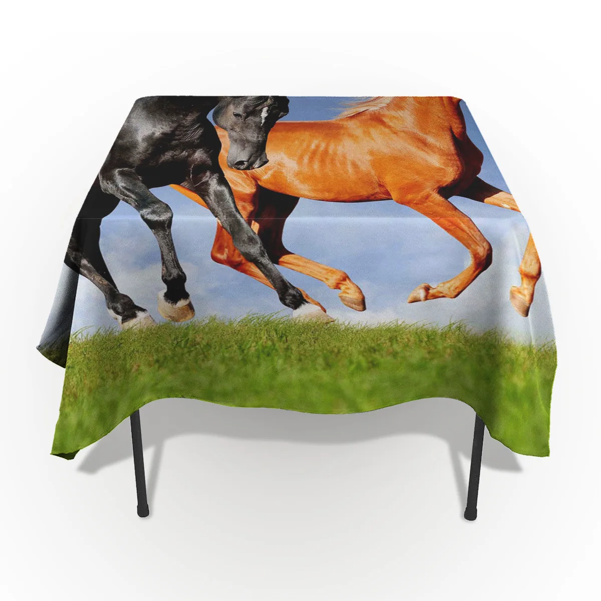 С рисунком лошади небо скатерти девушки дома мужчины пятен стойкий стол