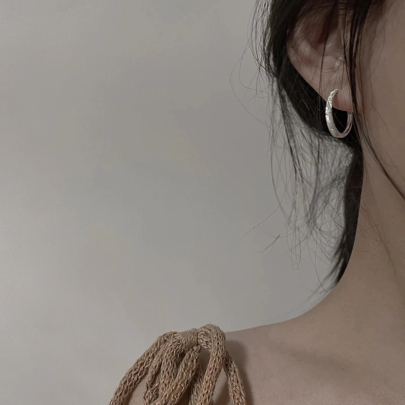 

Punk 925 Sterling Silver Sparkling Round Hoop Earrings For Women Geometric Creative Earrings Party Jewelry eh1089