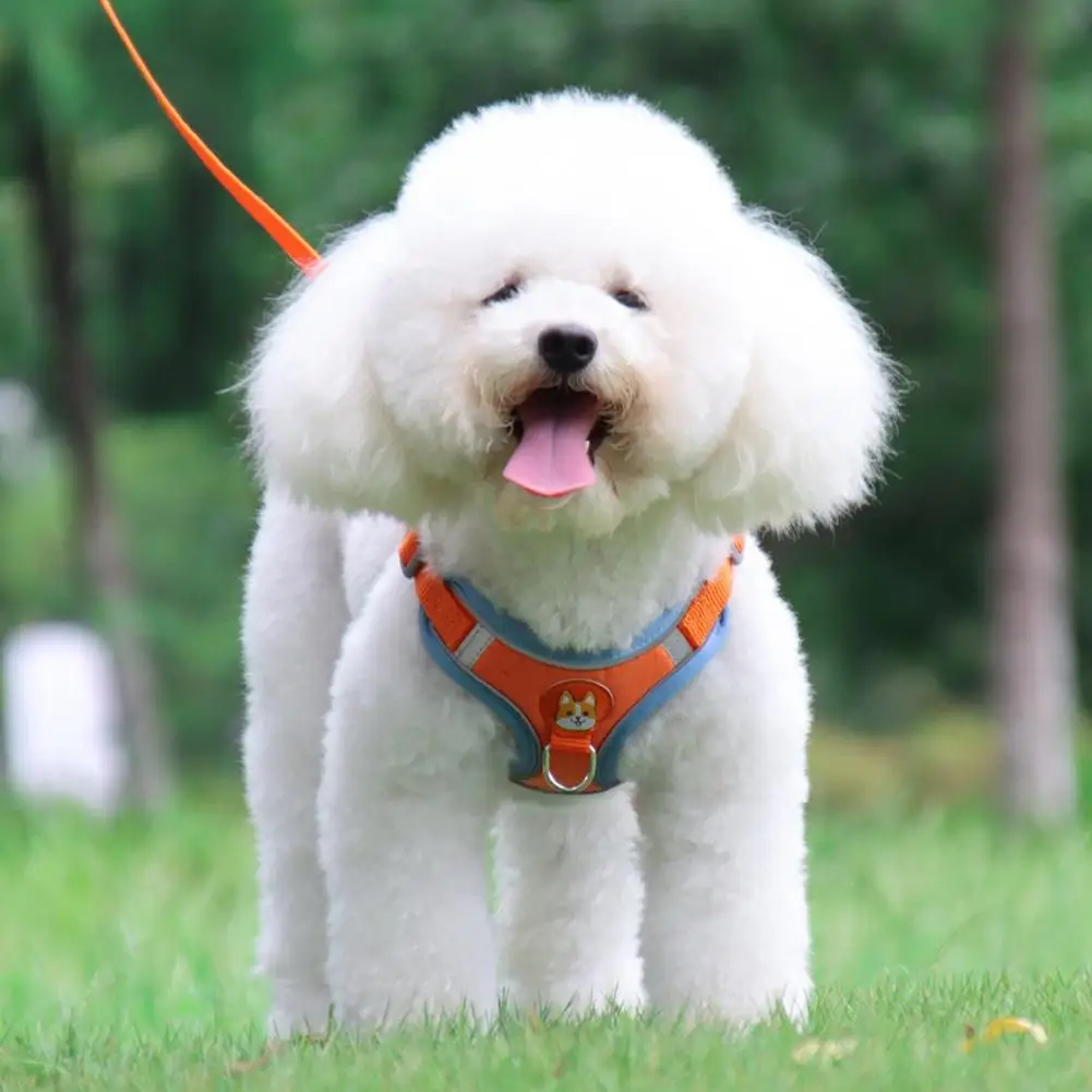 

Pet Traction Rope Close Fitting Eco-friendly Pet Chest Strap Leash Set Pet Chest Strap Set Pet Chest Strap Set 2Pcs/Set