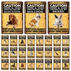 Kelly66 металлическая вывеска с изображением домашних животных: собаки, бигль, Ших, Tzu, бассейци, пуделя, домашний декор, Настенная картина размером 20*30 см Dy141