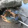 Изображение товара 3