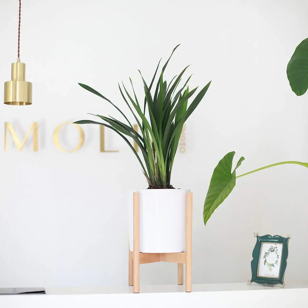 

Flower Stand Display Stand Simple Solid Wood Indoor Flower Pot Bracket