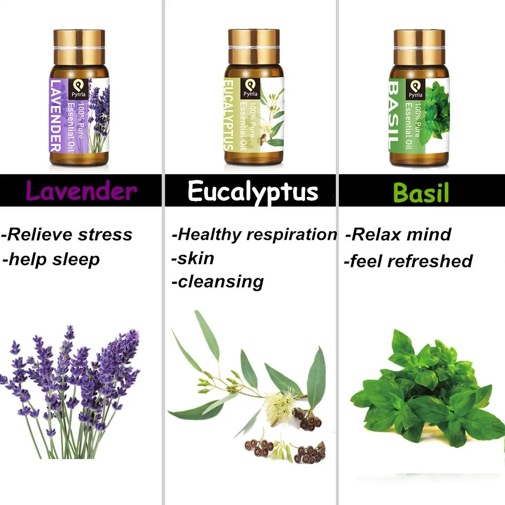 Pyrrla 5ml Vetiver Pure Essential Oils Help Sleep Purifying Air Humidifier Massage Lavender Myrrh Aromatherapy Oil |