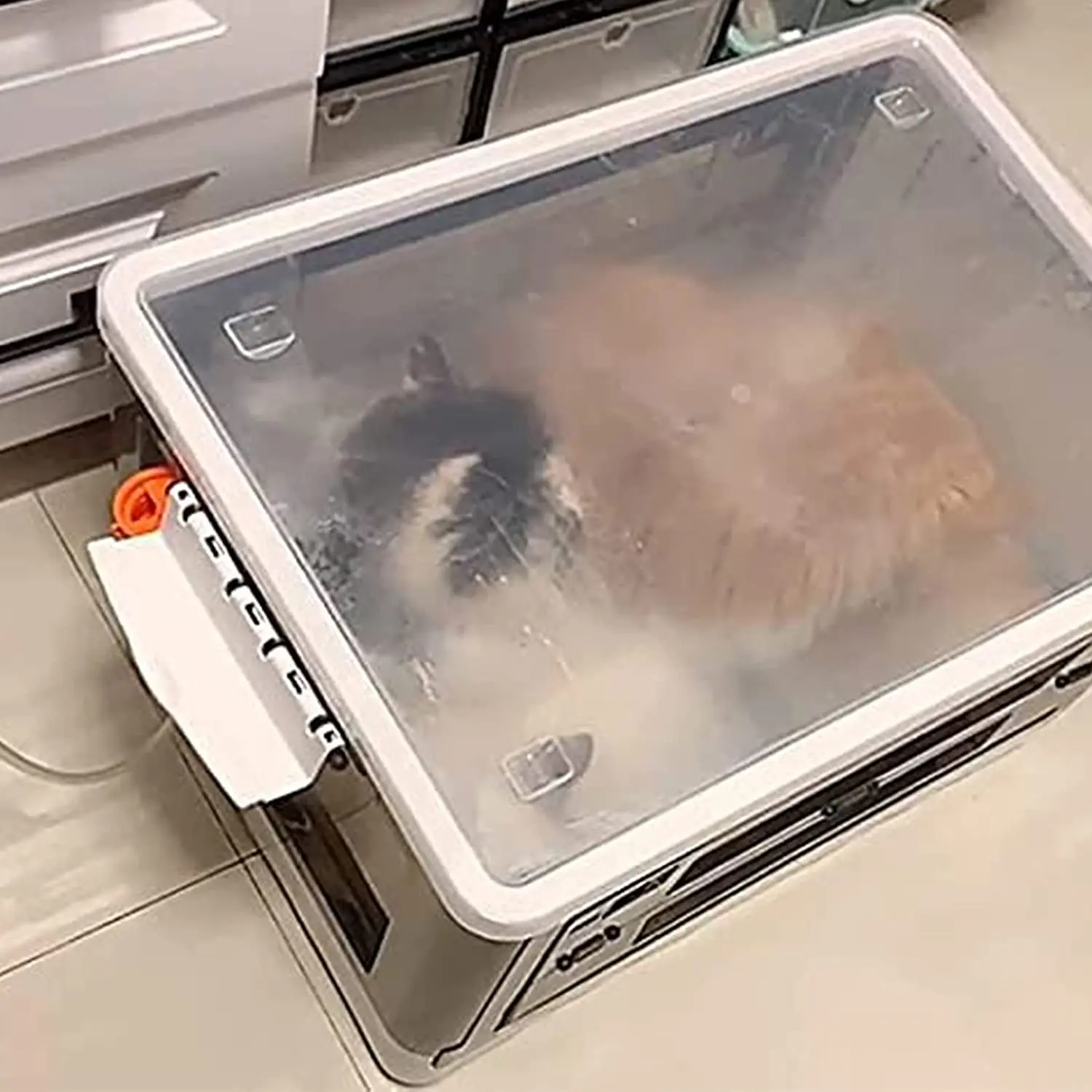 Caja de nebulizaci&oacute;n para cachorros, incubadora grande para guarder&iacute;a, plegable con ruedas, f&aacute;cil de llevar, sala de ox&iacute;geno para mascotas-4