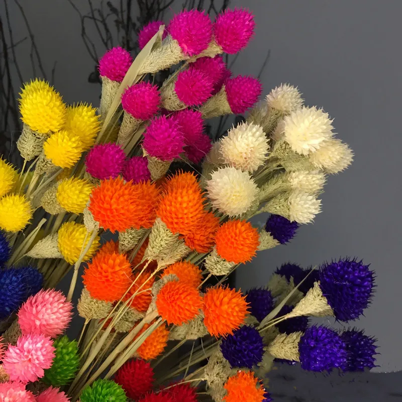 

10pcs Nature Real Dry Berry Flowers DIY Rabbit Grass Plant For Bouquet Home Room Party Decor Wedding Supplies