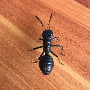 Фигурки животных из глины, искусство, искусство, высокая имитация каваи, муравей, миниатюрные садовые аксессуары для украшения дома, детские игрушки, 10 шт.