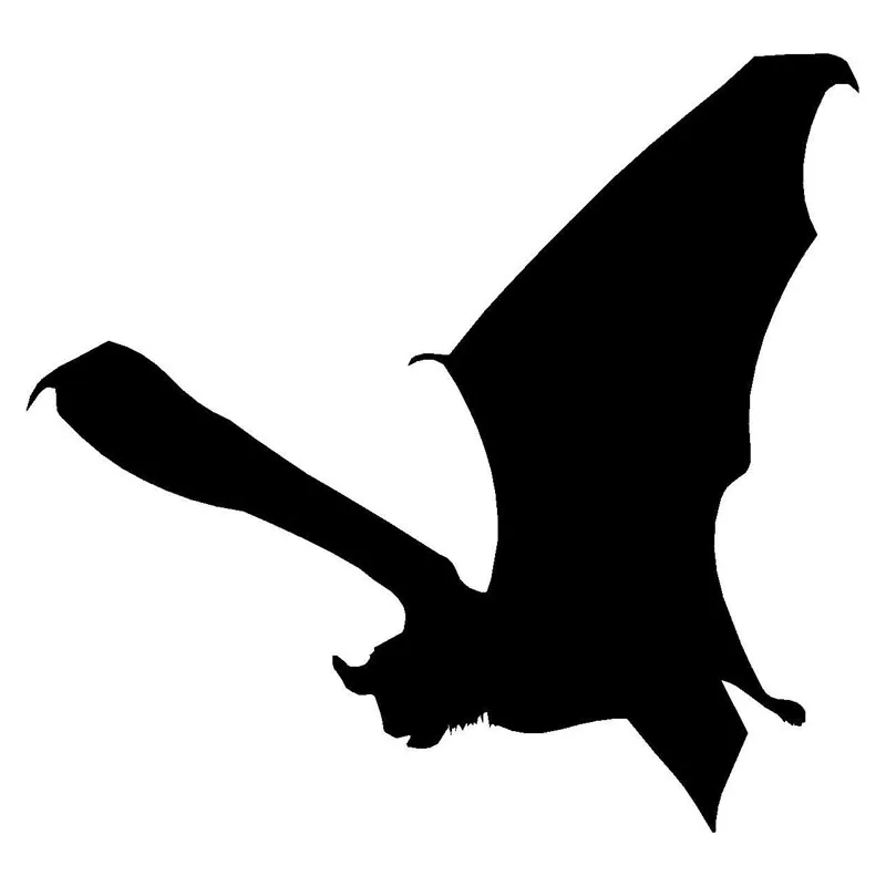 

15cmx14cm Funny bat Vinyl Car stickers Decals Motorcycle Accessories Car-Window Decorative Goods PVC