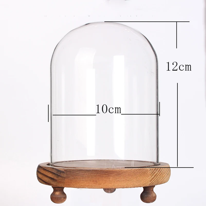 Стеклянный купол витрина для консервированных цветов баночка колокольчиков с