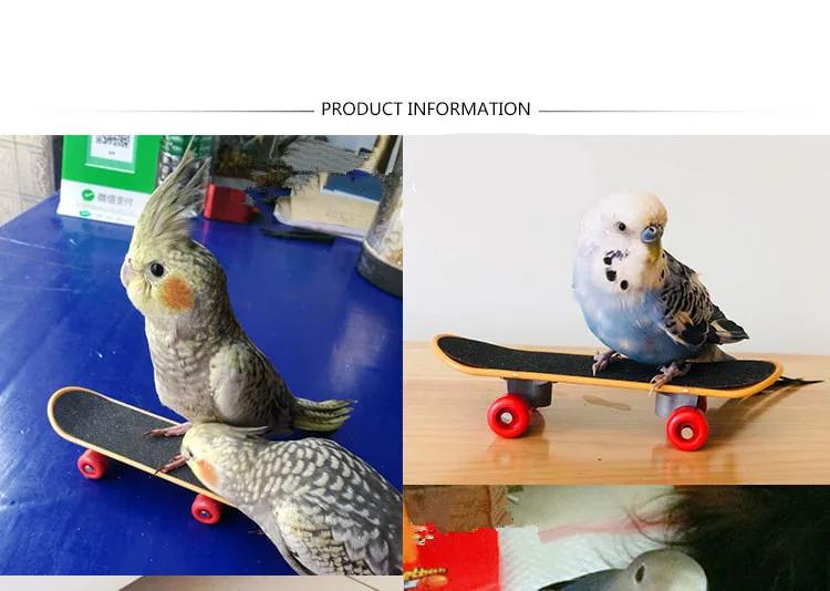 Игрушки для интеллекта в виде попугаев мини скейтборд тренировок рост забавная