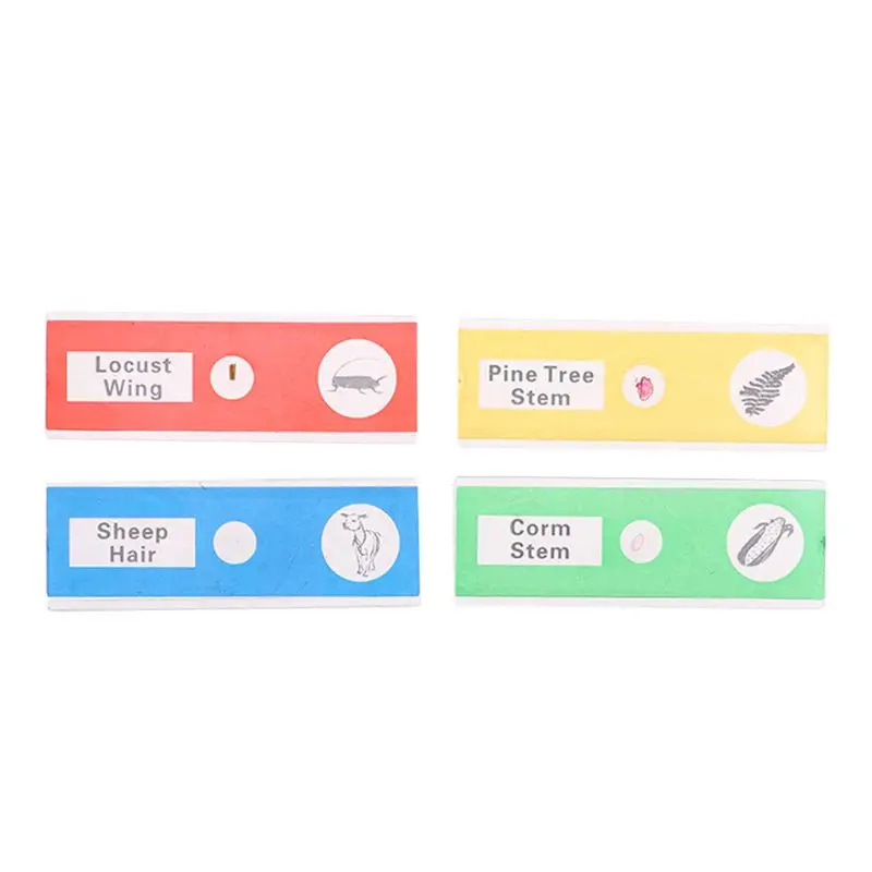 48pcs/set Kids Plastic Prepared Microscope Slides Biological Specimen Animals Plants Insects Flowers Sample A5YD | Инструменты