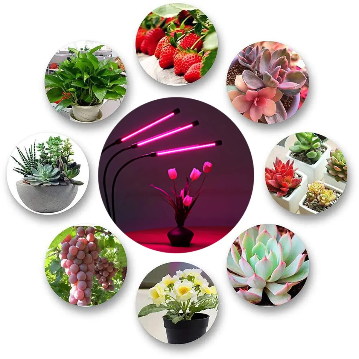 

Flower Uv-Lamp LED Grow Light Plant 3 Head Growing Lights Phyto Lamp for Flower Seedling Growth-Light