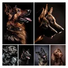 Алмазная живопись волк, набор для алмазной вышивки 5D сделай сам, полноразмерные круглыеквадратные стразы, украшение для дома с изображением животных, подарок