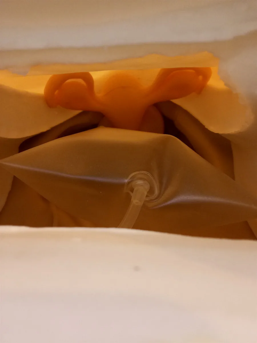 Модель гинекологического осмотра для студентов медицинских работников BIX-FS |