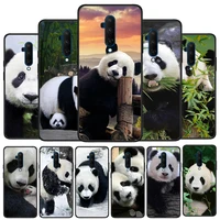 cute asian baby panda silicone cover for oneplus nord ce 2 n10 n100 9 9r 8t 7t 6t 5t 8 7 6 plus pro phone case shell
