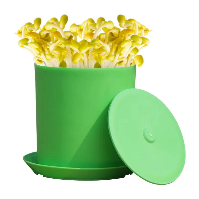 Садовая почва-Бесплатная со стручками фасоли баночка для посева посадки