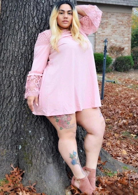 Dotfashion Plus Size Guipure Lace Insert Frill Trim Dresses Ladies Spring Fall Pink Elegant Flounce Sleeve A-Line Plain Dress