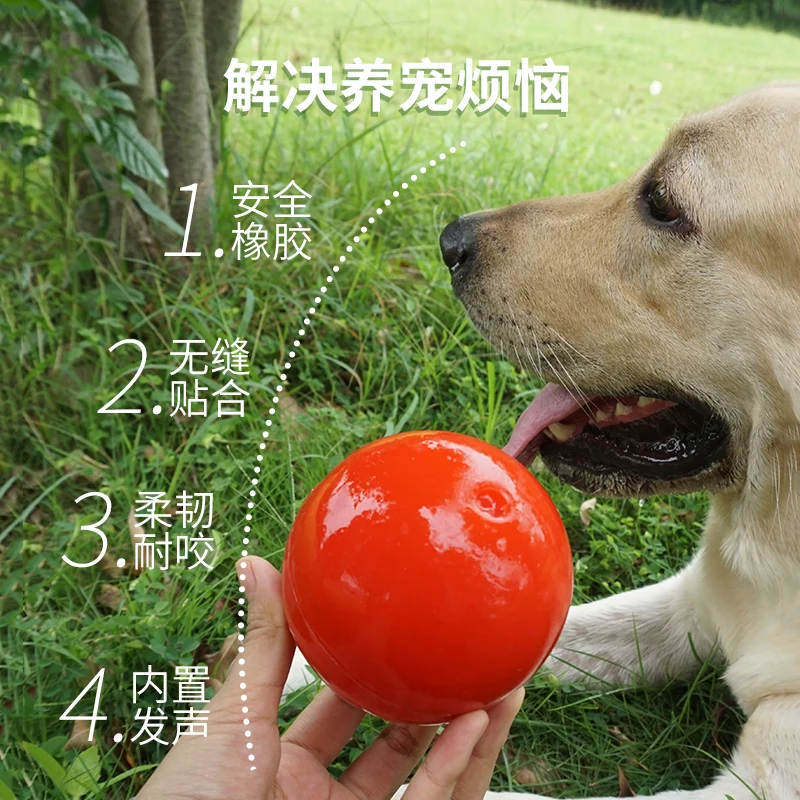 Игрушка для питомцев против укусов твердый резиновый мяч чистки зубов