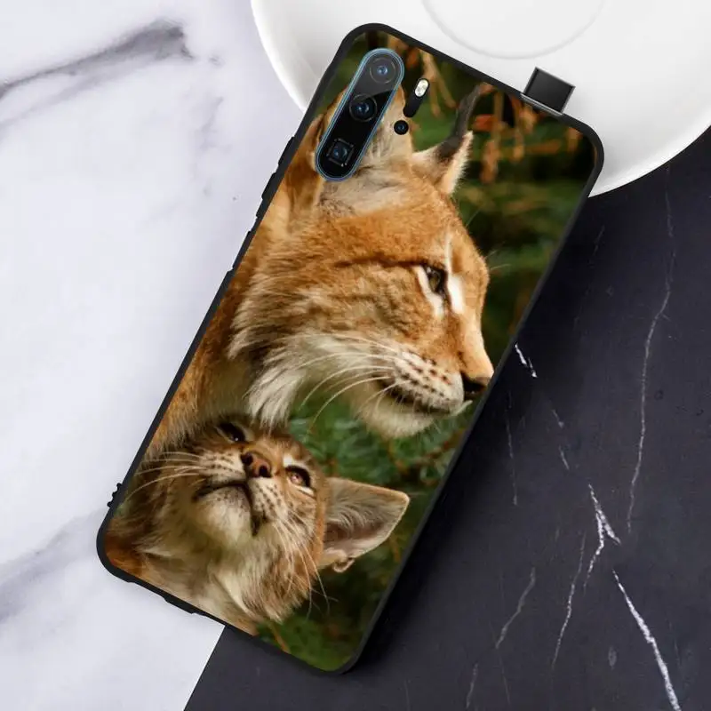 

African Lynx Caracal Big Cat Phone Case For Huawei honor Mate P 10 20 30 40 Pro 10i 9 10 20 8 x Lite