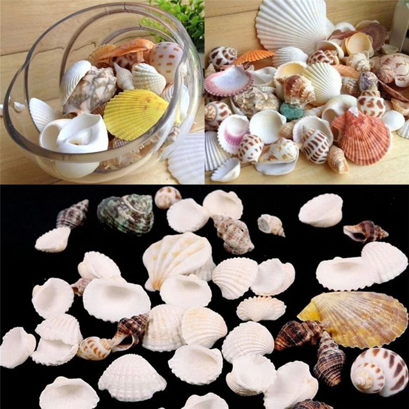 

100g Beach Fashion Seashells Sea Shells For Craft Decor Fashion DIY Jewelry Findings Jewelery Craft Accessories