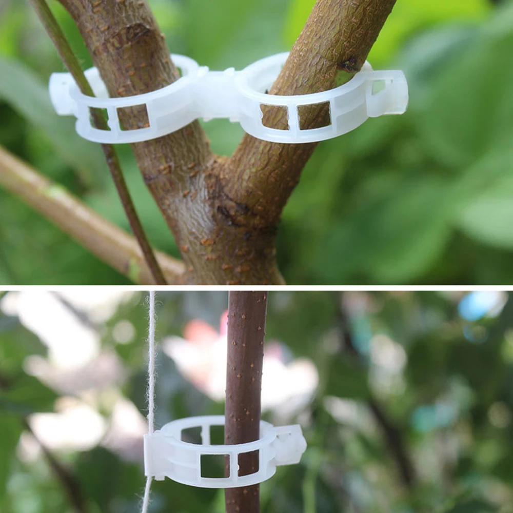

50/100pcs 25mm Plastic Plant Support Clips clamps For Plants Hanging Vine Garden Greenhouse Vegetables Tomatoes Clips
