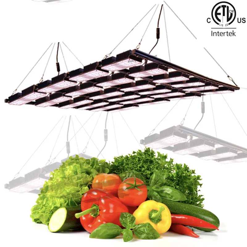 Шэньчжэнь Индивидуальный полный спектр УФ ИК 16 модулей 800 Вт высокая ppfd