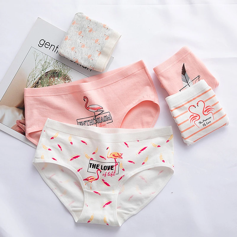 Трусики женские из 100% хлопка со средней посадкой с принтом фламинго | Женская