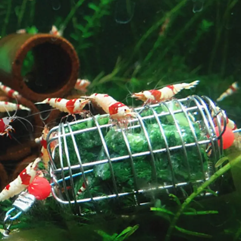 Stainless Steel Dry Spinach Feeding Cage Fish Tank Aquarium Shrimp Bait Feeder | Дом и сад
