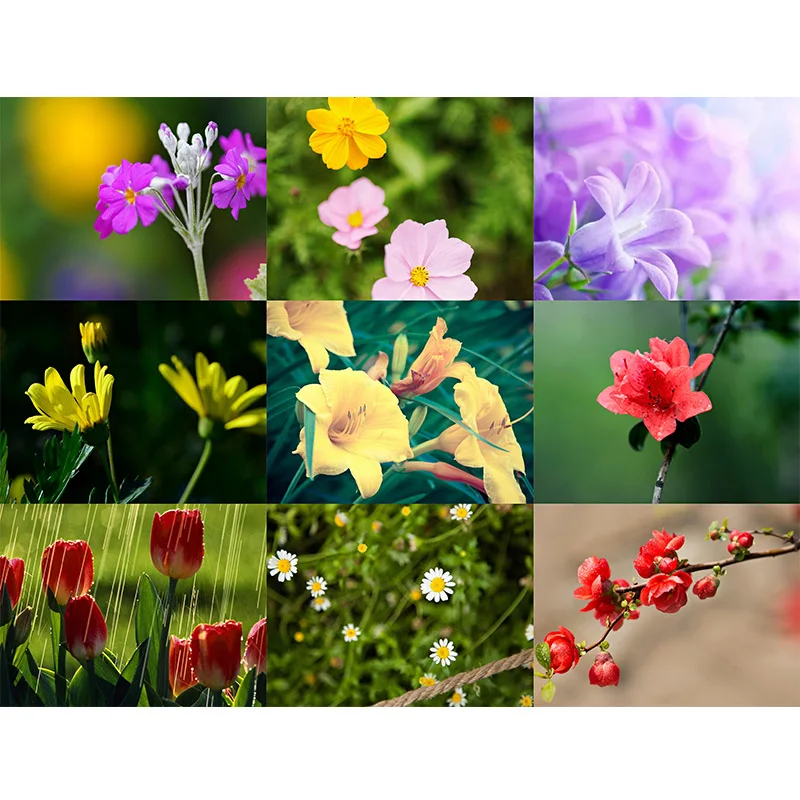 

5D DIY Flower Diamond Painting Cross Stitch Full Square Round Drill Embroidery Colorful Handmade Home Room Wall Decor Craft