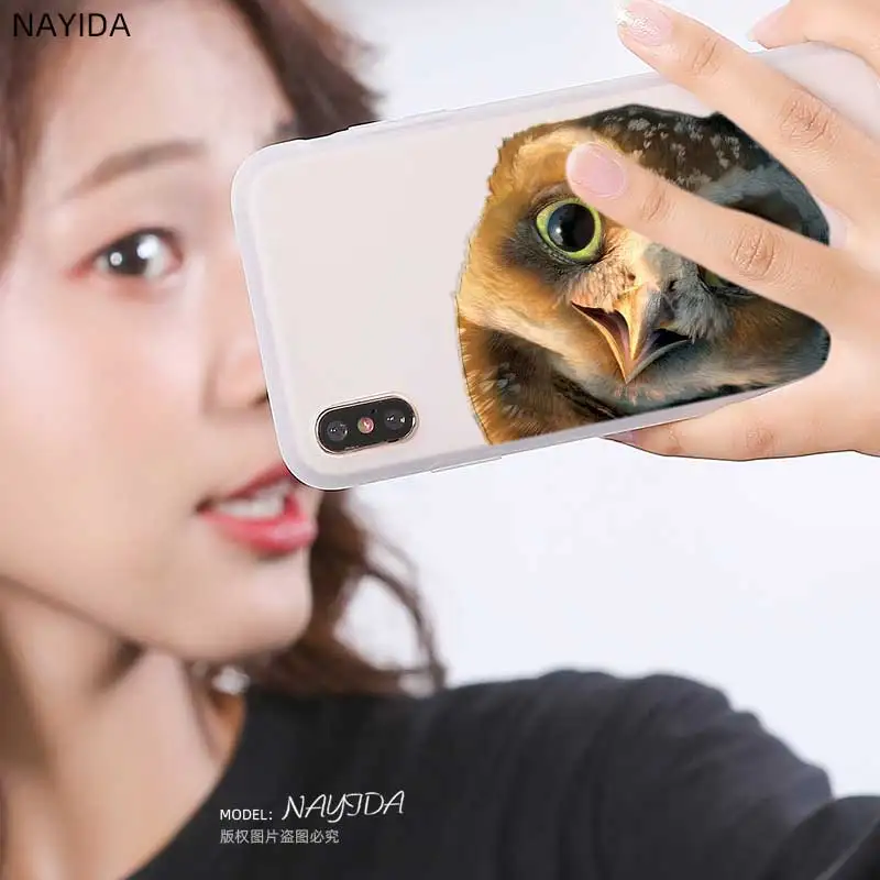Мягкий чехол для телефона Samsung Galaxy A10 A20 E A30 A40 A70 A50 A60 A80 A90 a10s a20s a30s a70s M40 Owl Snow |