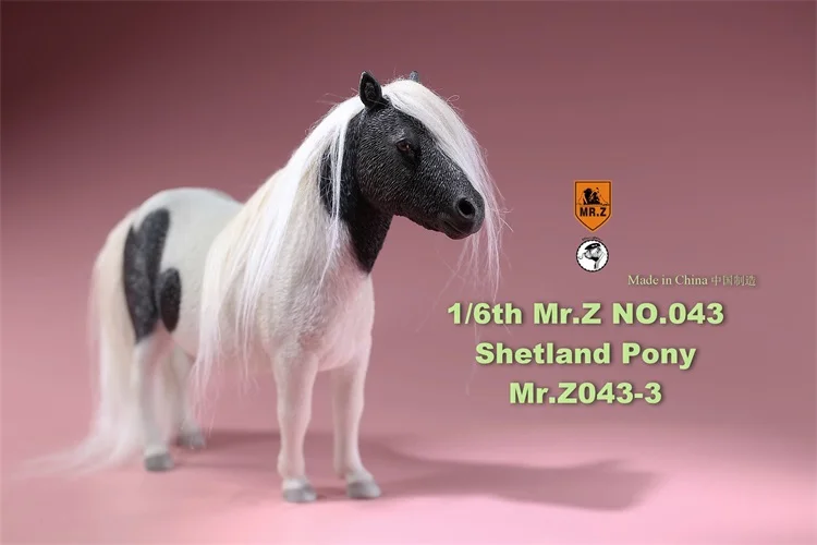 MR. Z животных модель MRZ043 1/6 Shetland с рисунком Пони для Модель аксессуар все 5 видов